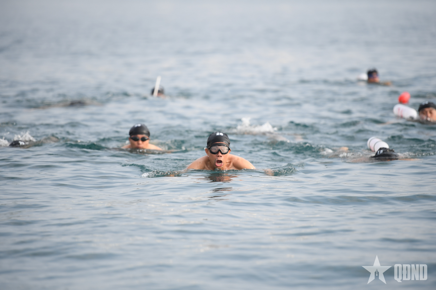 Học viện Hải quân tổ chức giải bơi truyền thống